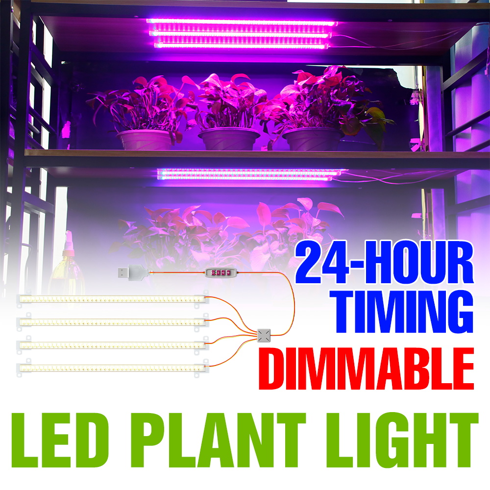 Echeveria Succulent - Lampu LED untuk Tanaman Indoor USB