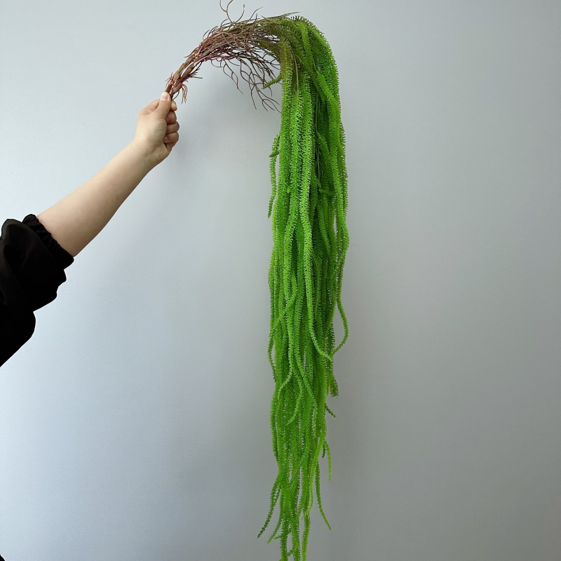Monstera Adansonii - Jenggot Willow Buatan Serbaguna 41.73 