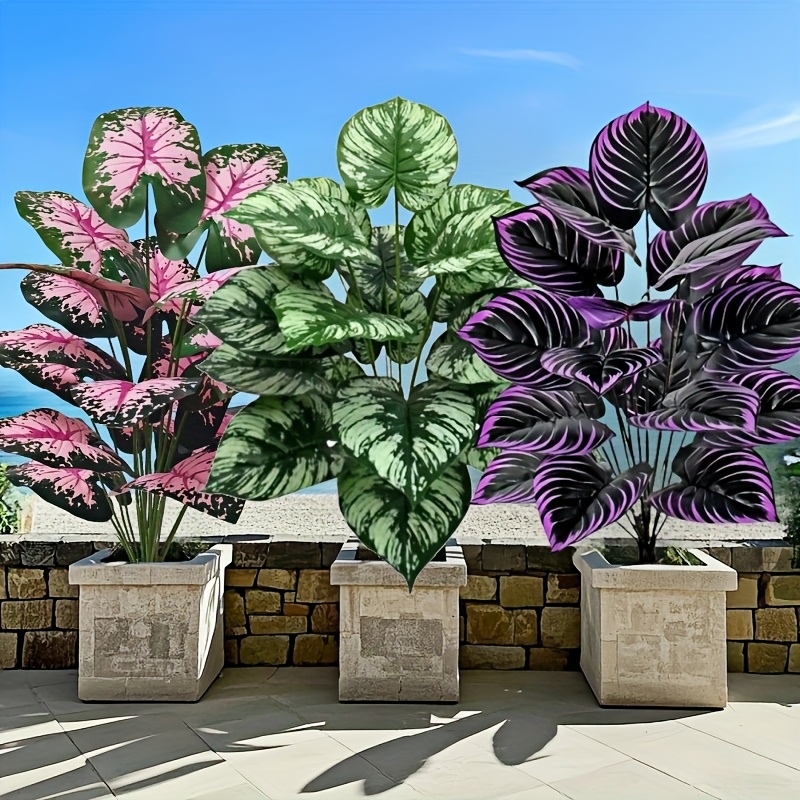 Monstera Adansonii - 3 Buah 60Cm Set Tanaman Hijau