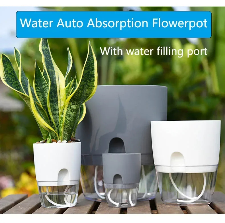 Aloe Vera Pot - Pot Bunga Plastik Transparan Dua Lapis