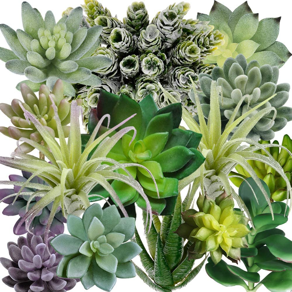 Echeveria Succulent - 15 Paket Tanaman Sukulen Buatan Beraneka