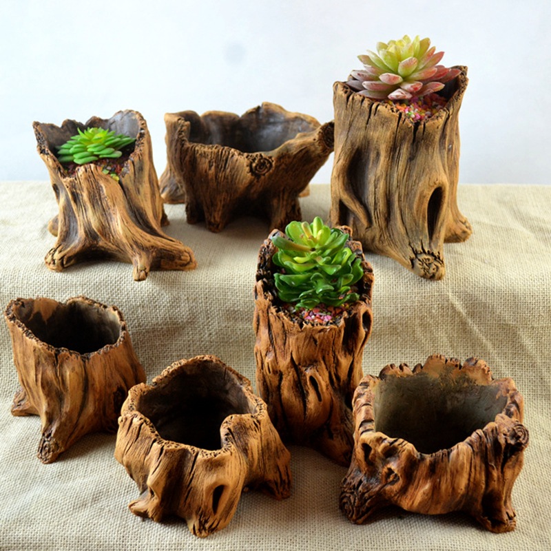 Echeveria Succulent - Pot tanaman pot bunga kreatif, tumbuhan