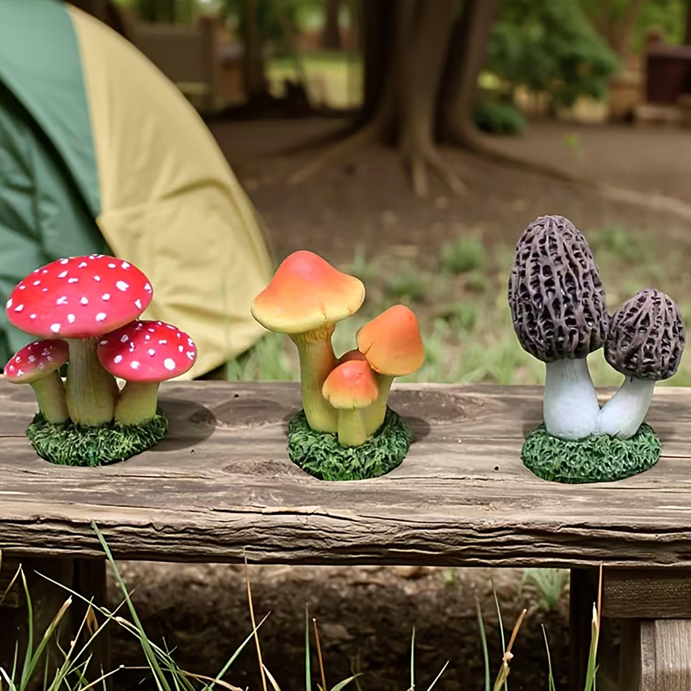 Echeveria Succulent - 1 Set berisi 3 buah Hiasan