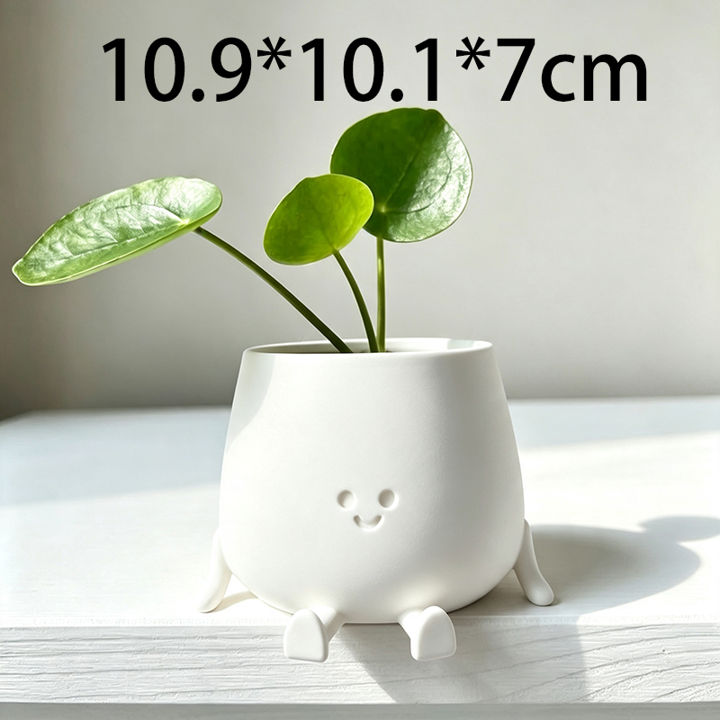 Pot Tanaman 3D Berbentuk Wajah - Echeveria Succulent ulasan dan harga