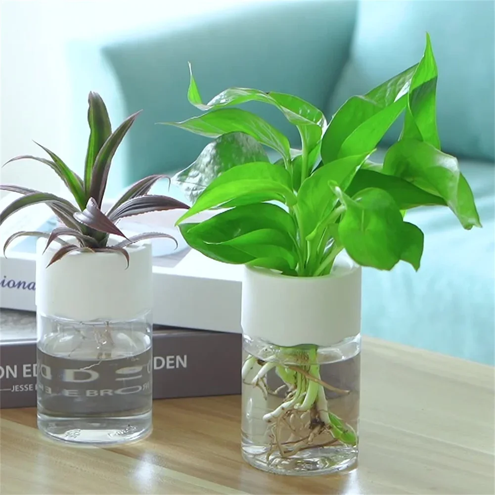 Pot Bunga Hidroponik Mini Tran - Aloe Vera Pot ulasan dan harga