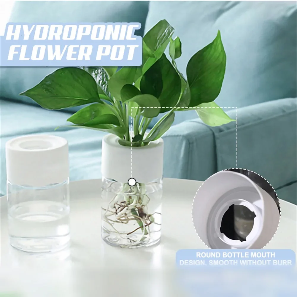 Pot Bunga Hidroponik Mini Tran - Aloe Vera Pot ulasan dan harga