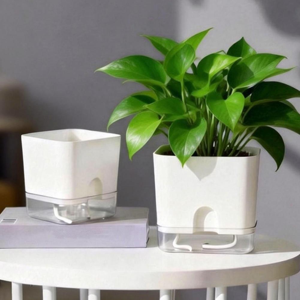 Pot Bunga Penyiram Otomatis Po - Aloe Vera Pot ulasan dan harga