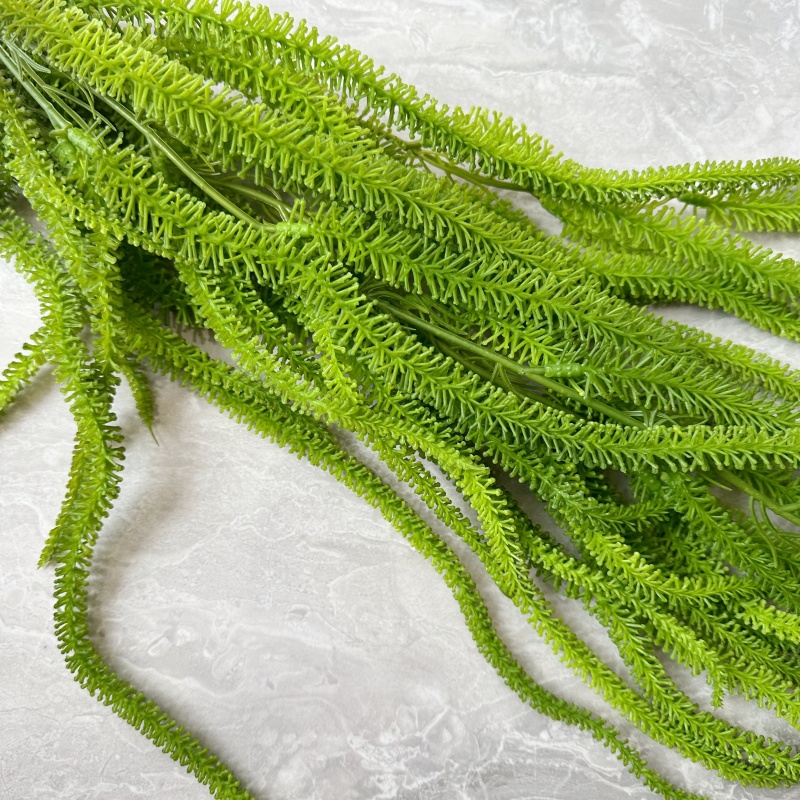 Jenggot Willow Buatan Serbagun - Monstera Adansonii ulasan dan harga
