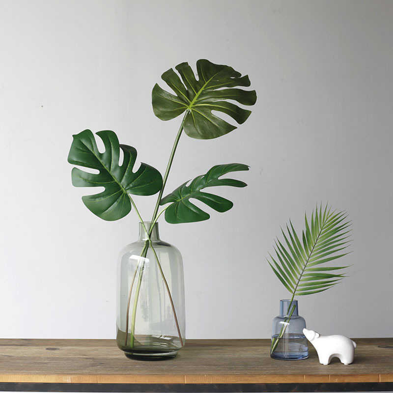 59CM daun kura-kura tanaman bu - Monstera Adansonii ulasan dan harga