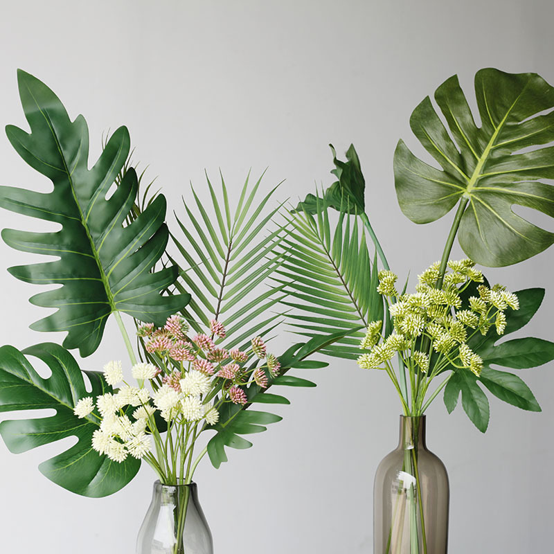 59CM daun kura-kura tanaman bu - Monstera Adansonii ulasan dan harga