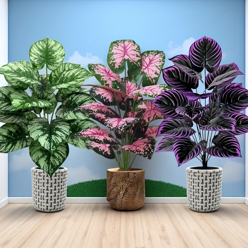 3 Buah 60Cm Set Tanaman Hijau  - Monstera Adansonii ulasan dan harga