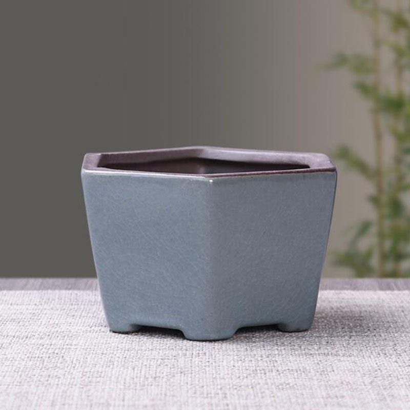 Retro Keramik Pot Bunga Aspara - Echeveria Succulent ulasan dan harga