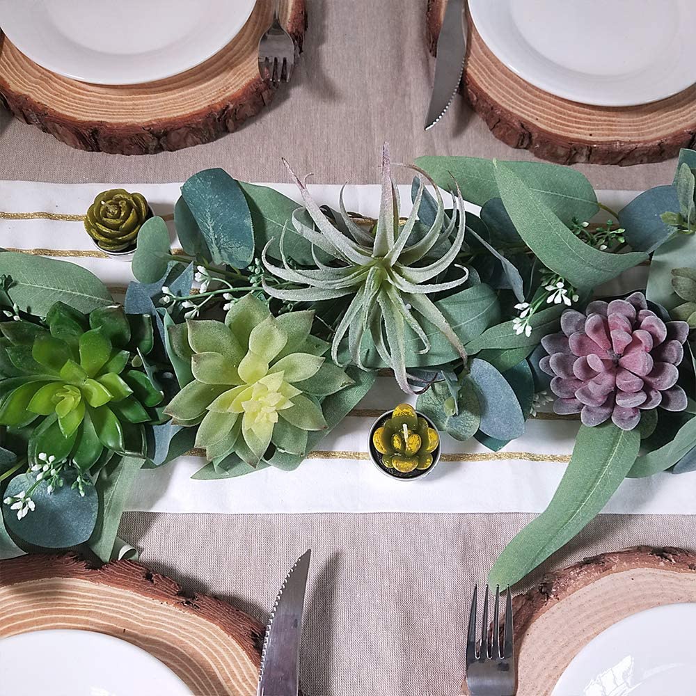 15 Paket Tanaman Sukulen Buata - Echeveria Succulent ulasan dan harga