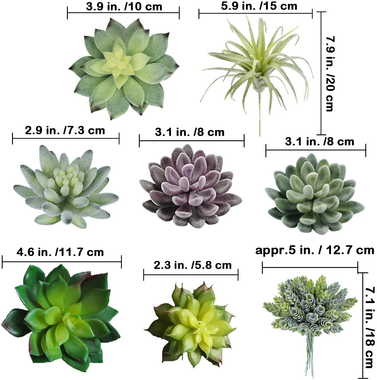15 Paket Tanaman Sukulen Buata - Echeveria Succulent ulasan dan harga