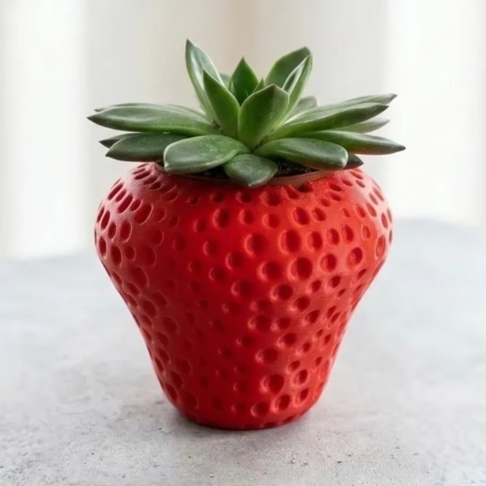 Pot Bunga Buah Plastik Cetak 3 - Echeveria Succulent ulasan dan harga