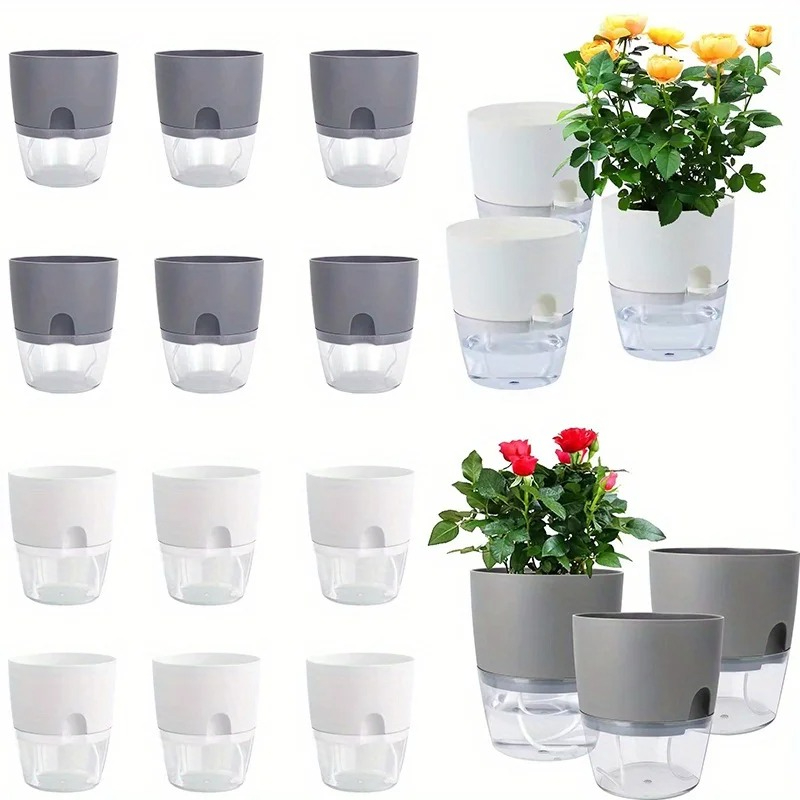 10/5 Buah Pot Bunga Plastik Pe - Aloe Vera Pot ulasan dan harga