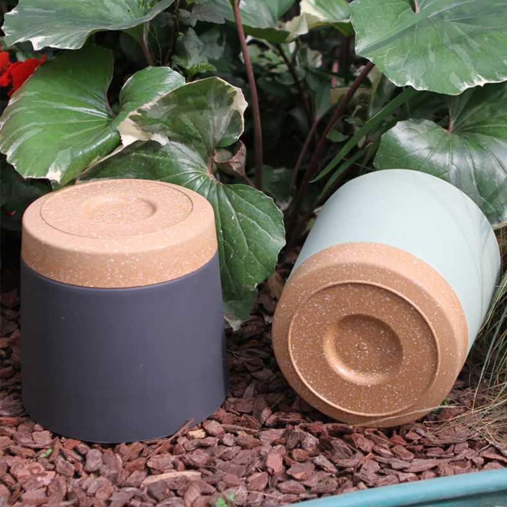 Pot Tanaman, Pot Besar Ringan  - Aloe Vera Pot ulasan dan harga