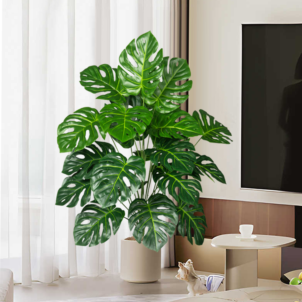 Tanaman palem buatan, pohon Mo - Monstera Adansonii ulasan dan harga