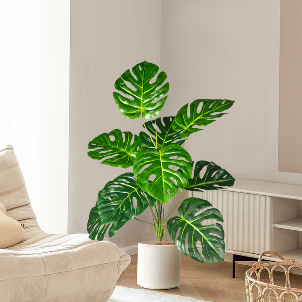 Tanaman palem buatan, pohon Mo - Monstera Adansonii ulasan dan harga