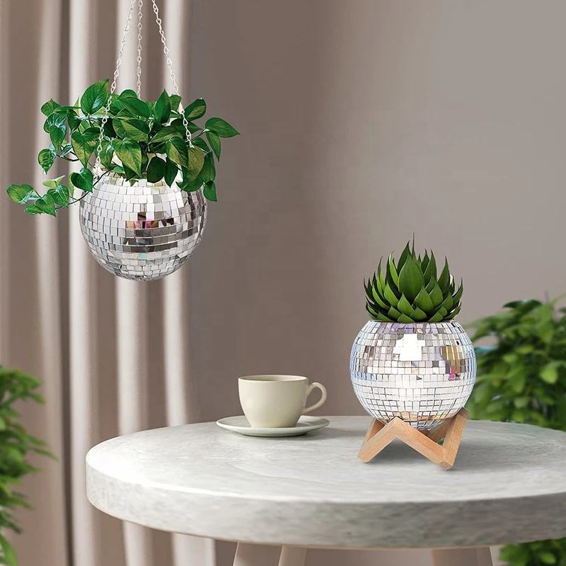 Keranjang Tanaman Gantung Bola - Echeveria Succulent ulasan dan harga