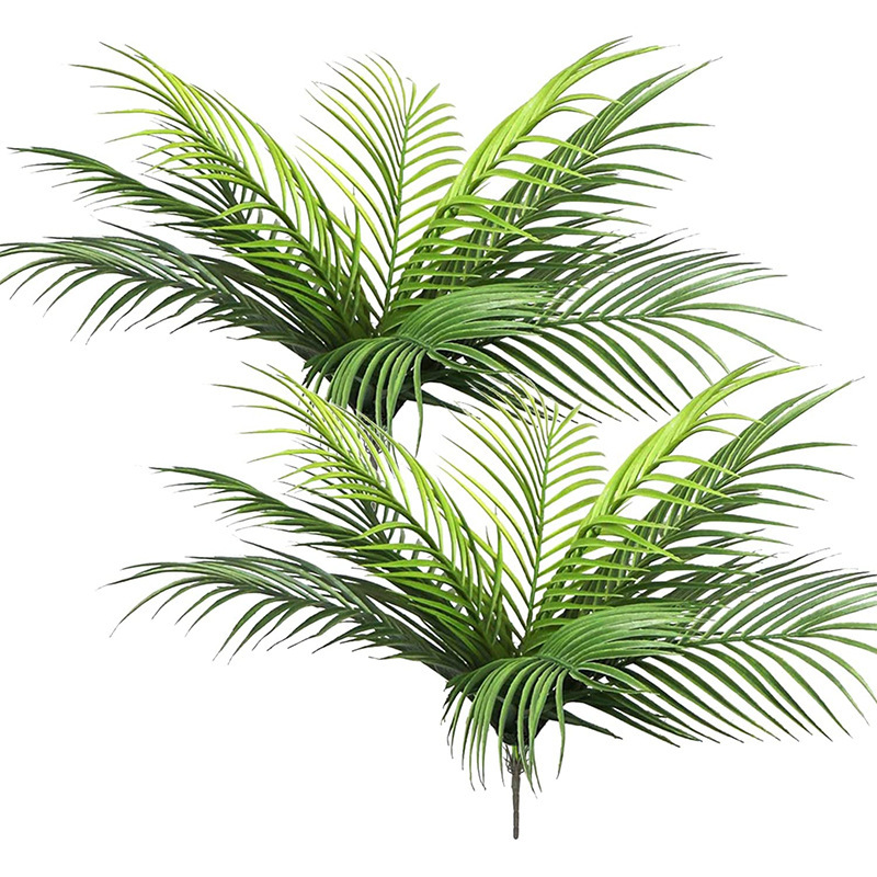 Daun 20,47in 9 tanaman tropis  - Monstera Adansonii ulasan dan harga