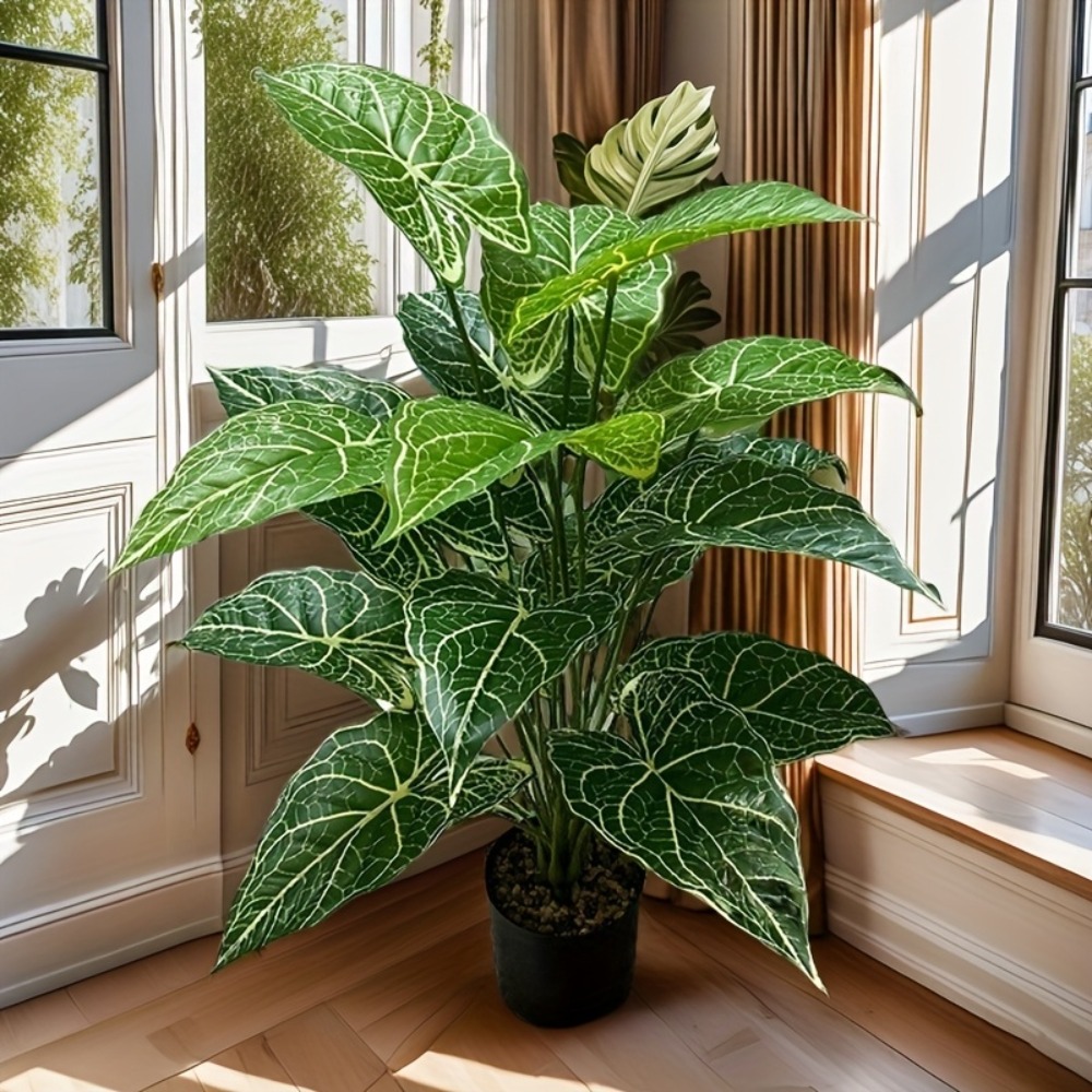 1 Buah 24 Daun Daun Taro Hijau - Monstera Adansonii ulasan dan harga