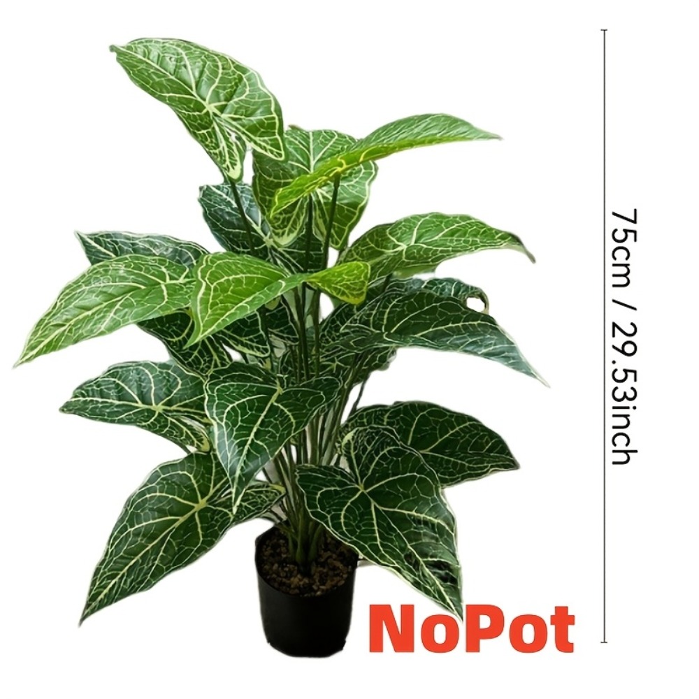 1 Buah 24 Daun Daun Taro Hijau - Monstera Adansonii ulasan dan harga